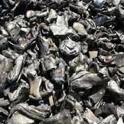 > </div>
<div class=